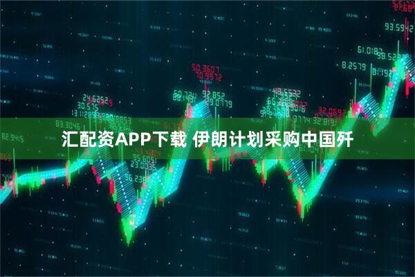 汇配资APP下载 伊朗计划采购中国歼