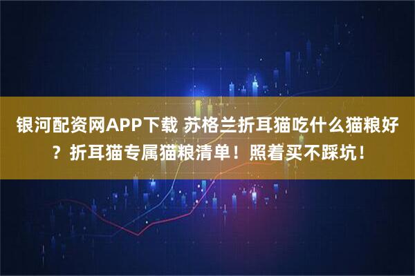 银河配资网APP下载 苏格兰折耳猫吃什么猫粮好？折耳猫专属猫粮清单！照着买不踩坑！