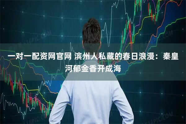 一对一配资网官网 滨州人私藏的春日浪漫：秦皇河郁金香开成海